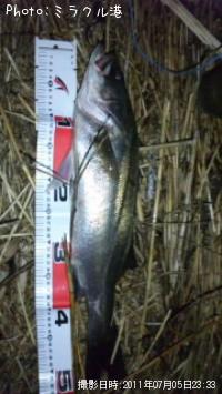 �����Х�