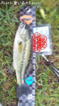 �֥�å��Х�