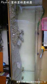 ���ˡ����ʥ����ҥ��饮