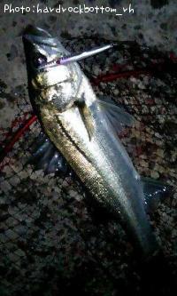 �����Х�