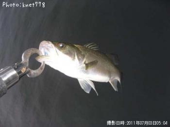 �����Х�