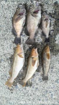 ¥¢¥¤¥Ê¥á¤È¥á¥Ð¥ë