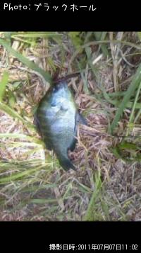 �֥롼����