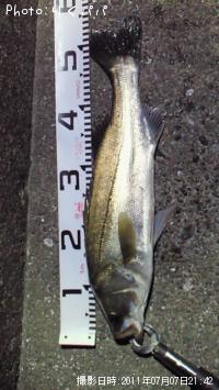 �����Х�