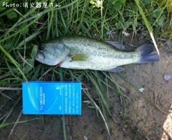 ¥Ö¥é¥Ã¥¯¥Ð¥¹