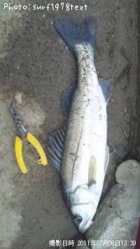 �����Х�