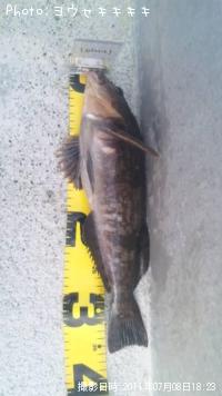 �����ʥ�