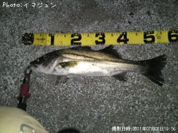 �����Х�
