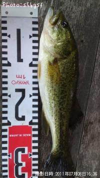 �֥�å��Х�