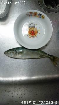 �����å�