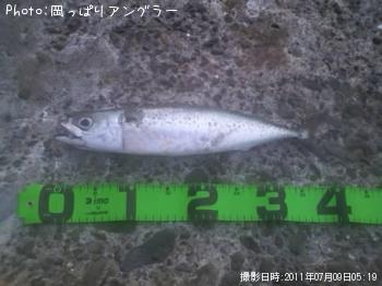 ¥µ¥Ð