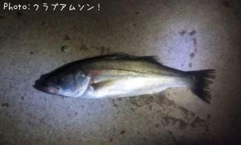 �����Х�