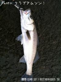 �����Х�