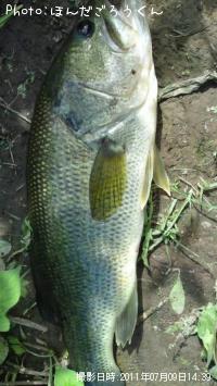 ¥Ö¥é¥Ã¥¯¥Ð¥¹