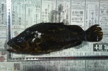 �����Υ���Х�