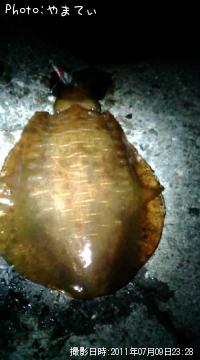 �����ꥤ��