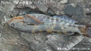 �����ʥ�