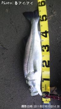 �����Х�