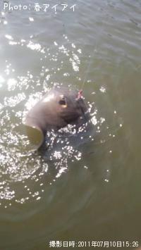 �����Х�