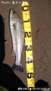 �����Х�