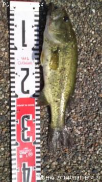 �֥�å��Х�