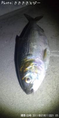 ���Υ���