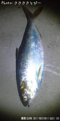 ���Υ���