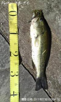 �֥�å��Х�