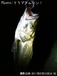 �����Х�