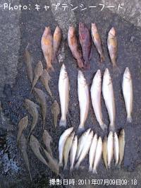 �����������������ʥ�