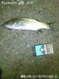 �����Х�