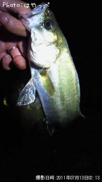 �����Х�