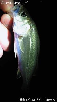 �����Х�