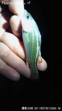 �����Х�