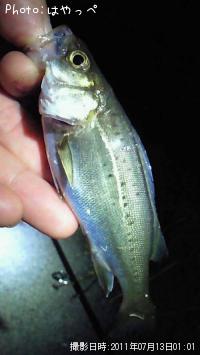 �����Х�