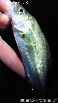 �����Х�