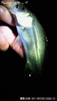 �����Х�