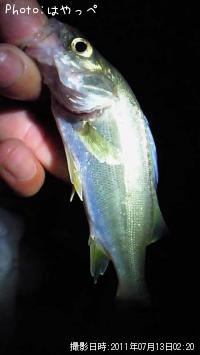 �����Х�