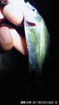 �����Х�