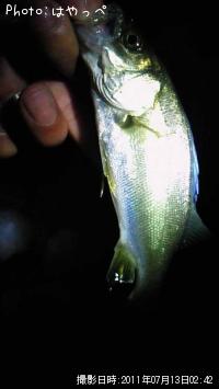 �����Х�