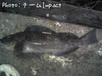 �����ʥ�