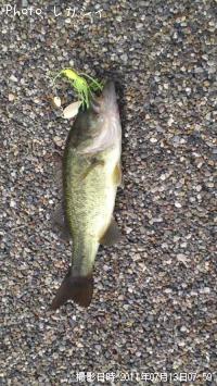 �֥�å��Х�