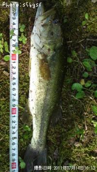 ¥Ö¥é¥Ã¥¯¥Ð¥¹