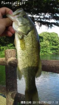 �֥�å��Х�