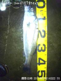 �����Х�