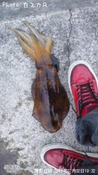 �����ꥤ��