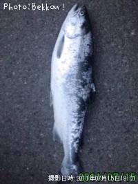 ¶äºú