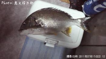 ¥¥Ó¥ì