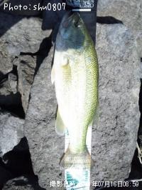 �֥�å��Х�