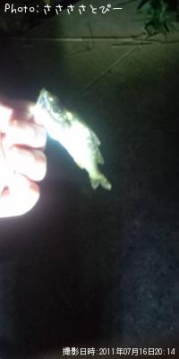 �����Х�